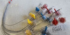 Polycarbonate Tag Seals