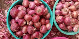 Red Onion