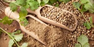 Coriander Powder
