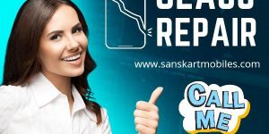 Cell Phone Batteries