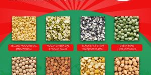 Indian Pulses