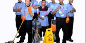 All Types of Labour Contractors