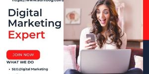 SEO Training Services