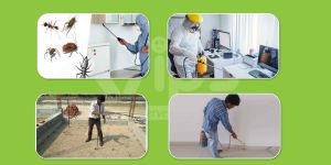 Pest Control Services