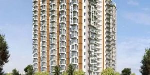 Residential Project Service