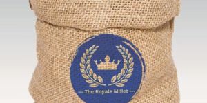 Little millet - samai