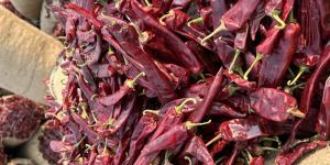 Single Patti Dry Red Chilli