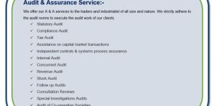Audits Assurance Services