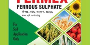 Ferrous Sulphate