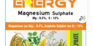 Magnesium Sulphate