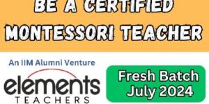 Nursery Teacher Training Service