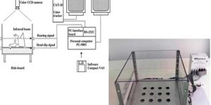 Hole Board Apparatus