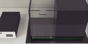 LIGHT AND DARK TEST APPARATUS