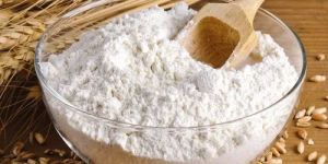 Wheat Flour