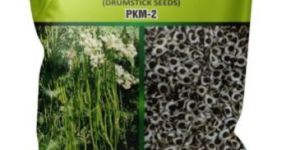 PKM2 Moringa Seeds
