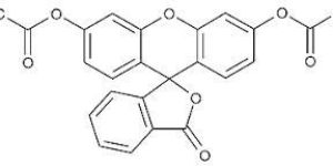 Fluorescein Diacetate 596-09-8