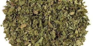 Dehydrated Coriander Leaves