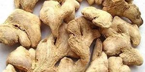 Dehydrated Ginger