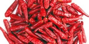 Dried Red Chilli without Stem