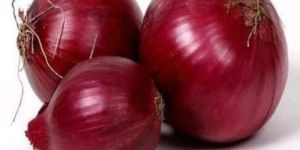 Fresh Red Onion