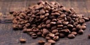 Robusta Coffee Beans