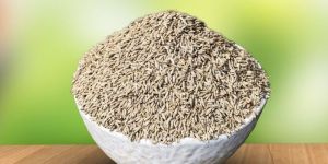 Cumin Seeds