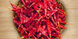 S-4 Sannam with Stem Dry Red Chilli