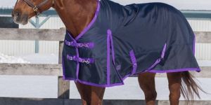 1680 Denier Horse Winter Rugs