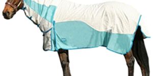 Double Front Buckle Horse Rugs