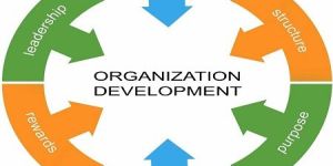 Organization Development