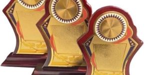 shnk-604 wooden memento