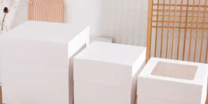 Printed Cake Boxes
