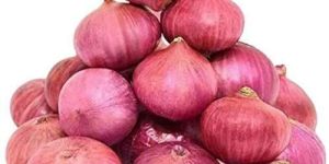 Fresh Pink Onion