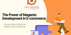 Magento Ecommerce Development Services