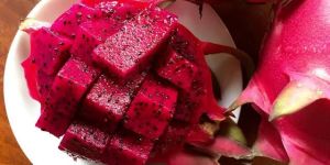 Red Dragon Fruit