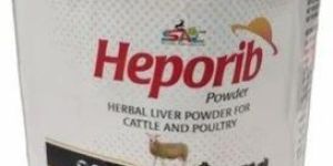 Cattle Poultry Herbal Liver Powder