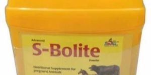 Pregnant Animals Nutritional Supplement Powder