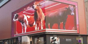 glasses-free 3d led video wall display screen