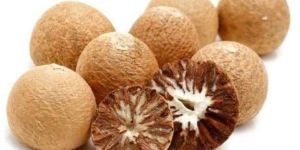 Betel Nuts