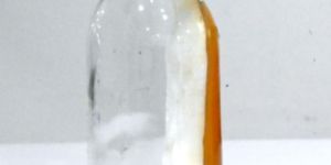 Cordyceps Militaris Culture