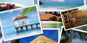 Tour Operators