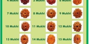 Rudraksha Beads