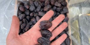 B Grade Arino Mazafati