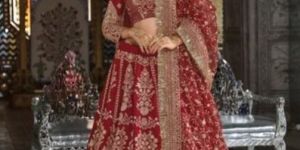 Designer Velvet Lehenga Choli