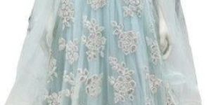 Embroidered Ladies Designer Net Gown