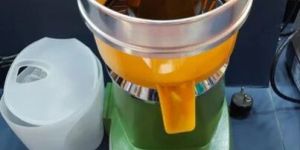 Electric Citrus Juicer