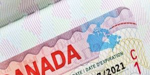Canada Visa Advisor