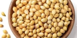 Coriander Seeds