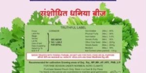 Hybrid Groundnut Seeds