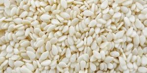 White Sesame Seeds